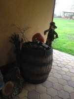 /album/rusztikus-kert-es-haz-/img-0864-jpg/