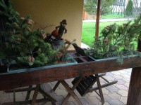 /album/rusztikus-kert-es-haz-/img-0870-jpg/