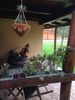 /album/rusztikus-kert-es-haz-/img-0871-jpg/