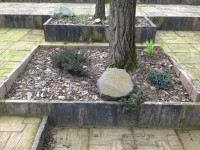 /album/rusztikus-kert-es-haz-/img-0886-jpg/