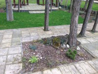 /album/rusztikus-kert-es-haz-/img-0890-jpg/